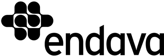 Endava Endava